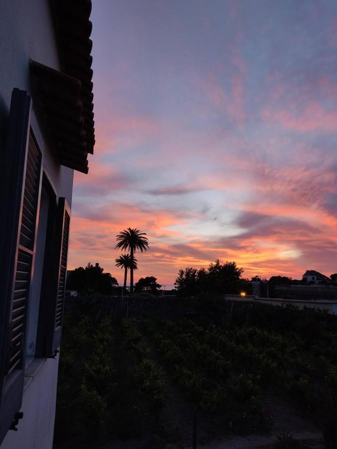 Apartamento Casa Ischia Forio di Ischia Exterior foto