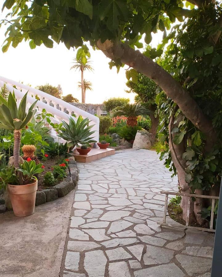 Apartamento Casa Ischia Forio di Ischia Exterior foto