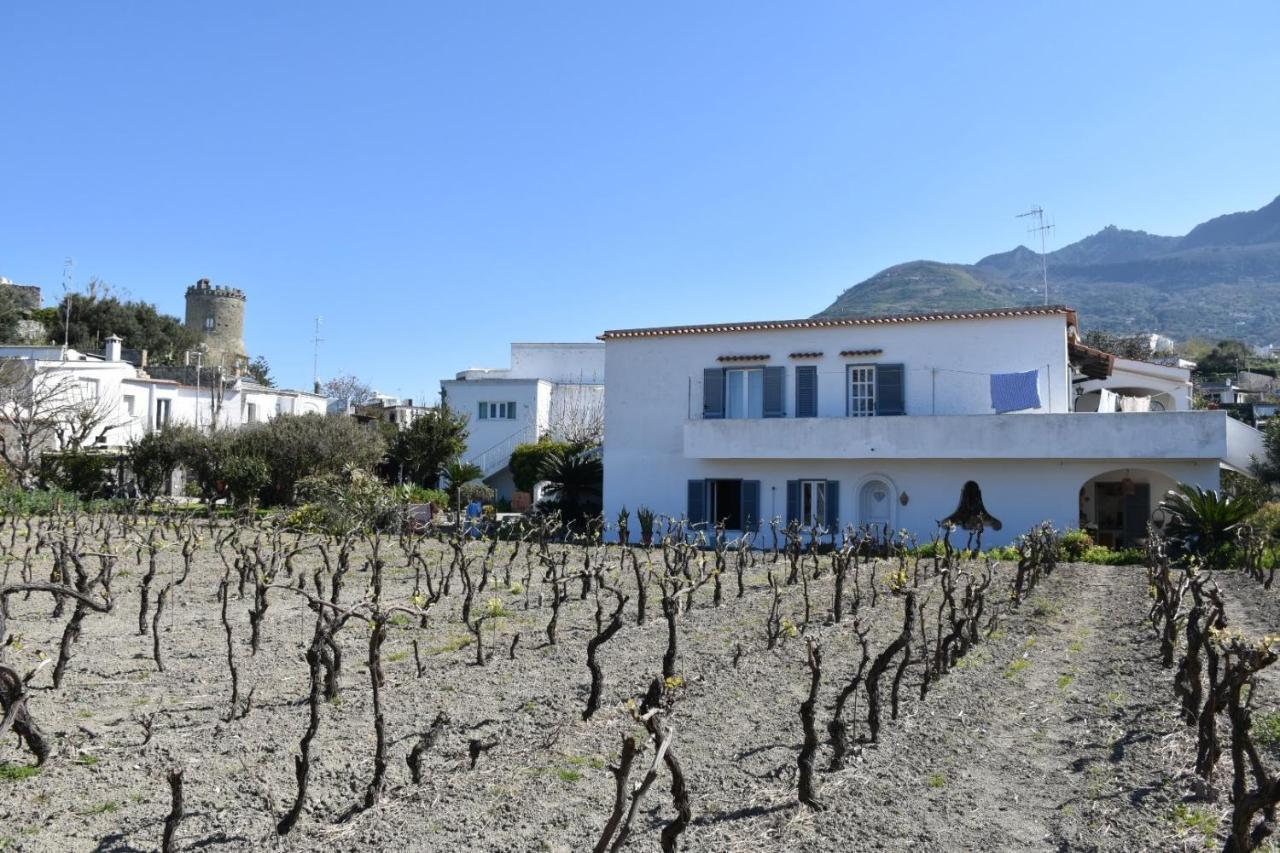 Apartamento Casa Ischia Forio di Ischia Exterior foto