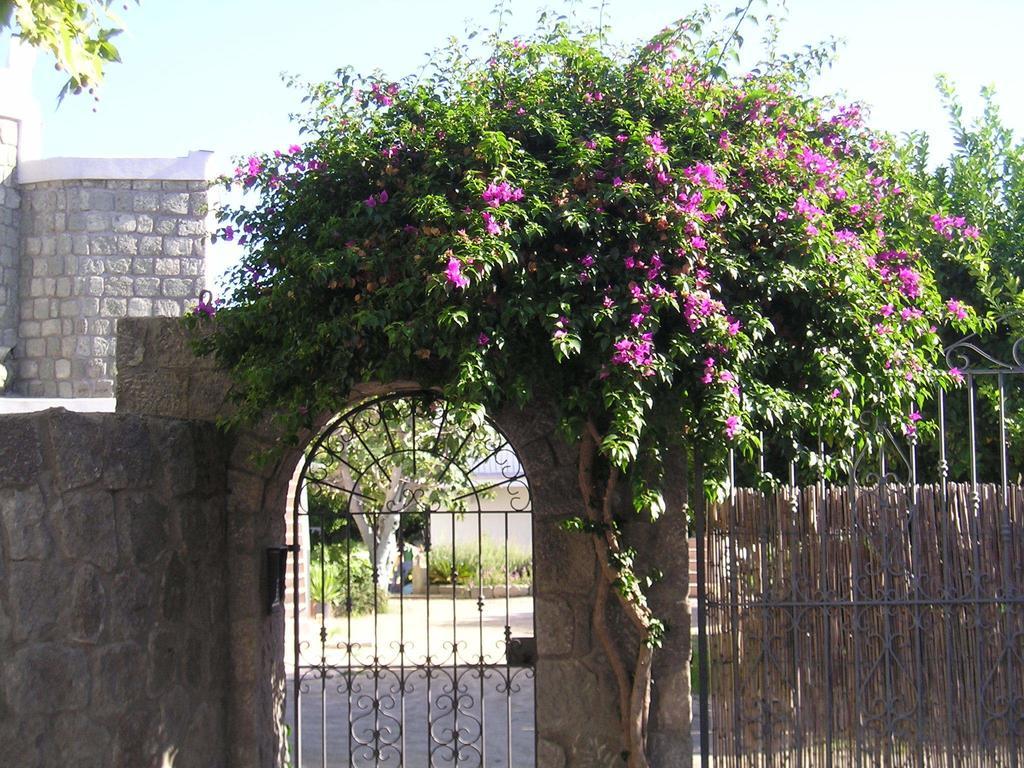 Apartamento Casa Ischia Forio di Ischia Exterior foto